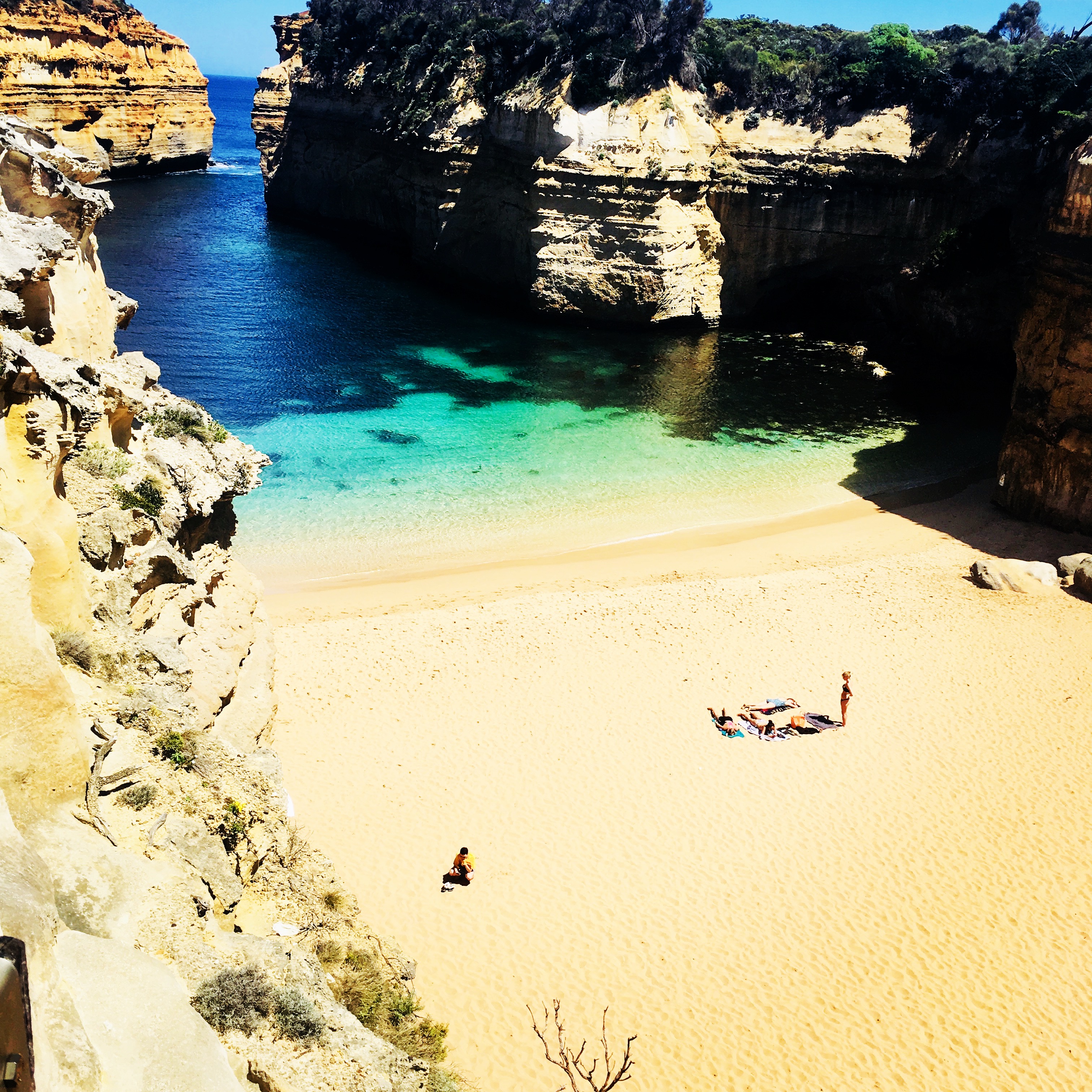 The Great Ocean Road and 12 Apostles Private Tour