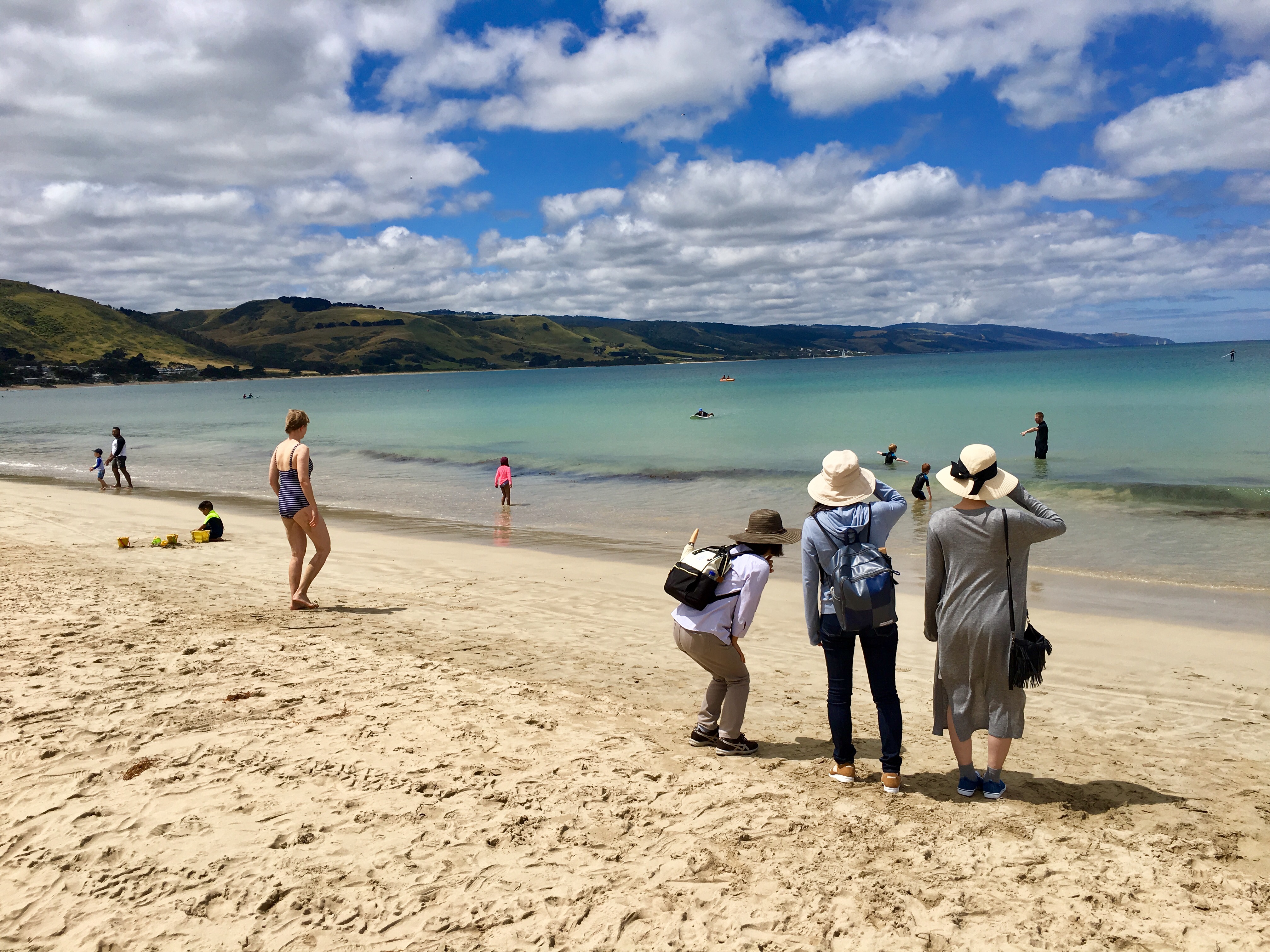 The Great Ocean Road and 12 Apostles Private Tour
