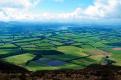 New Zealand Farm & Scenic Day Tour from Christchurch