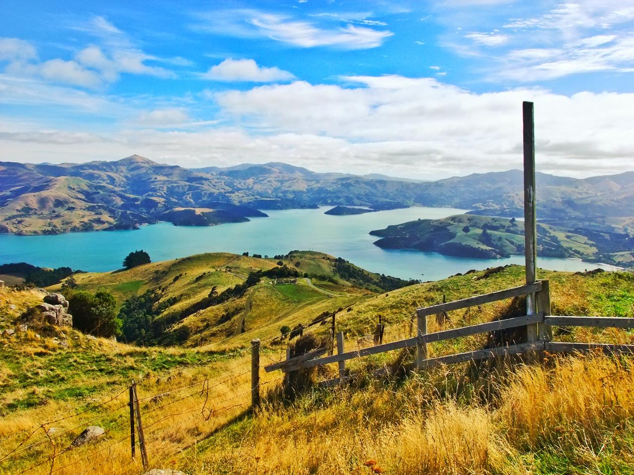 Akaroa Well-Being Eco-Safari Day Tour from Christchurch