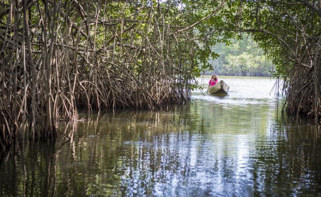 Explore Chacahua lagoon and experience the Bioluminescence