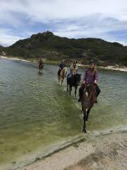 Cabalgata Al Atardecer Sunset Horseback Riding Tour