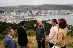 Full day tour of Wellington
