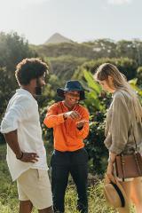 Chamarel Discovery Combo: 7 Coloured Earth & Coffee Plantation Tour