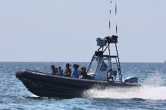 East Meets West Private Whale Watching Adventure (1 to 6 guests) & (7 to 12 guests) 