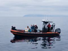 "Pacific Offshore Expeditions" Private Boat Whale Watching