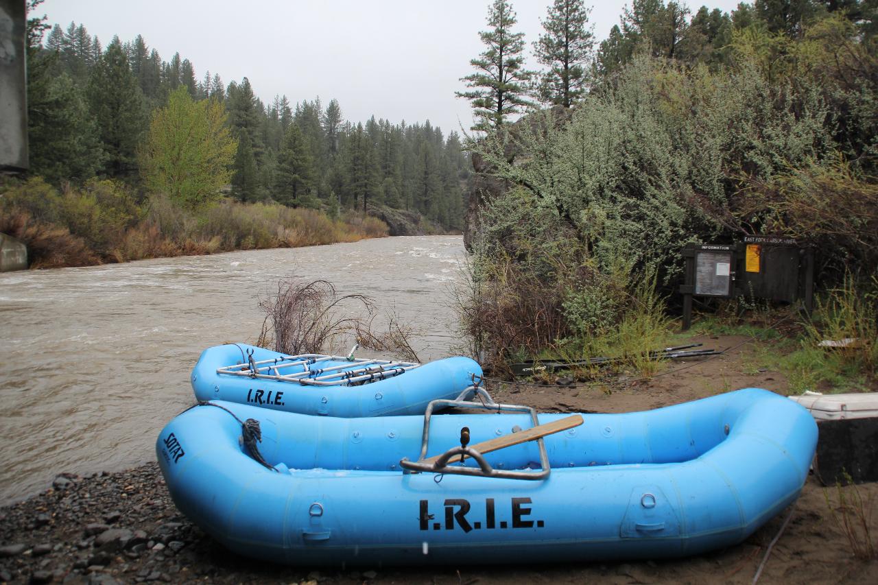 Carson River Full Day Rafting Trip (Class II)