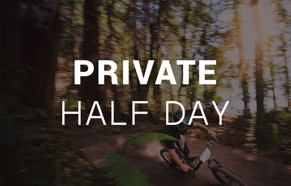 Private Lesson - Half Day
