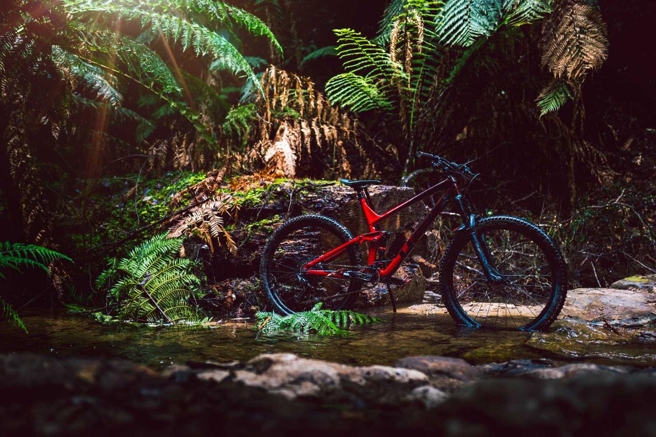 $125 Bike Hire Gift Voucher