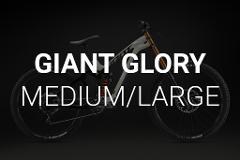 Giant Glory Downhill Bike - Medium / Large