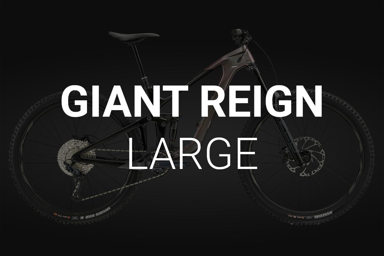 Giant Reign Enduro Bike - Large