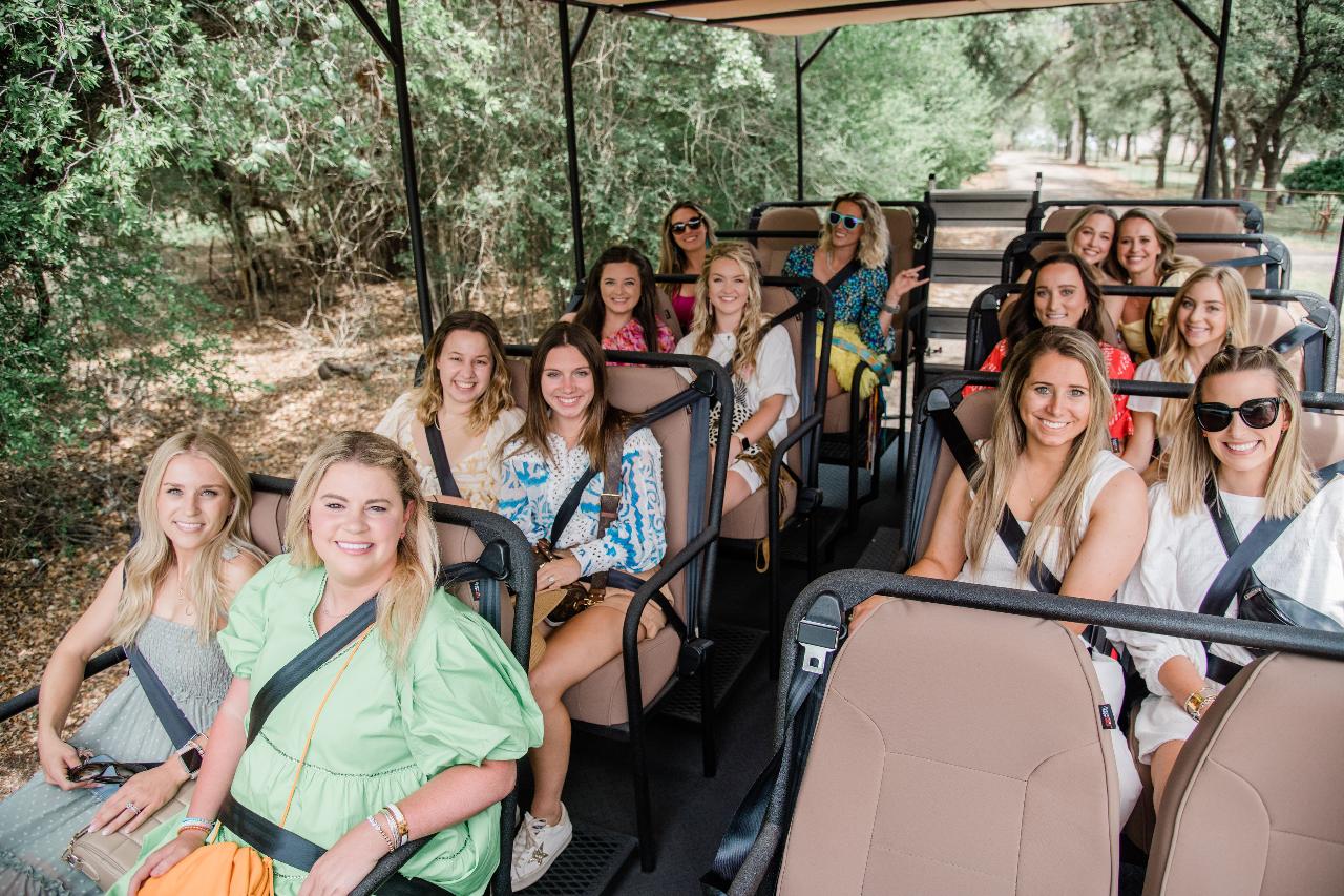 safari wine tour