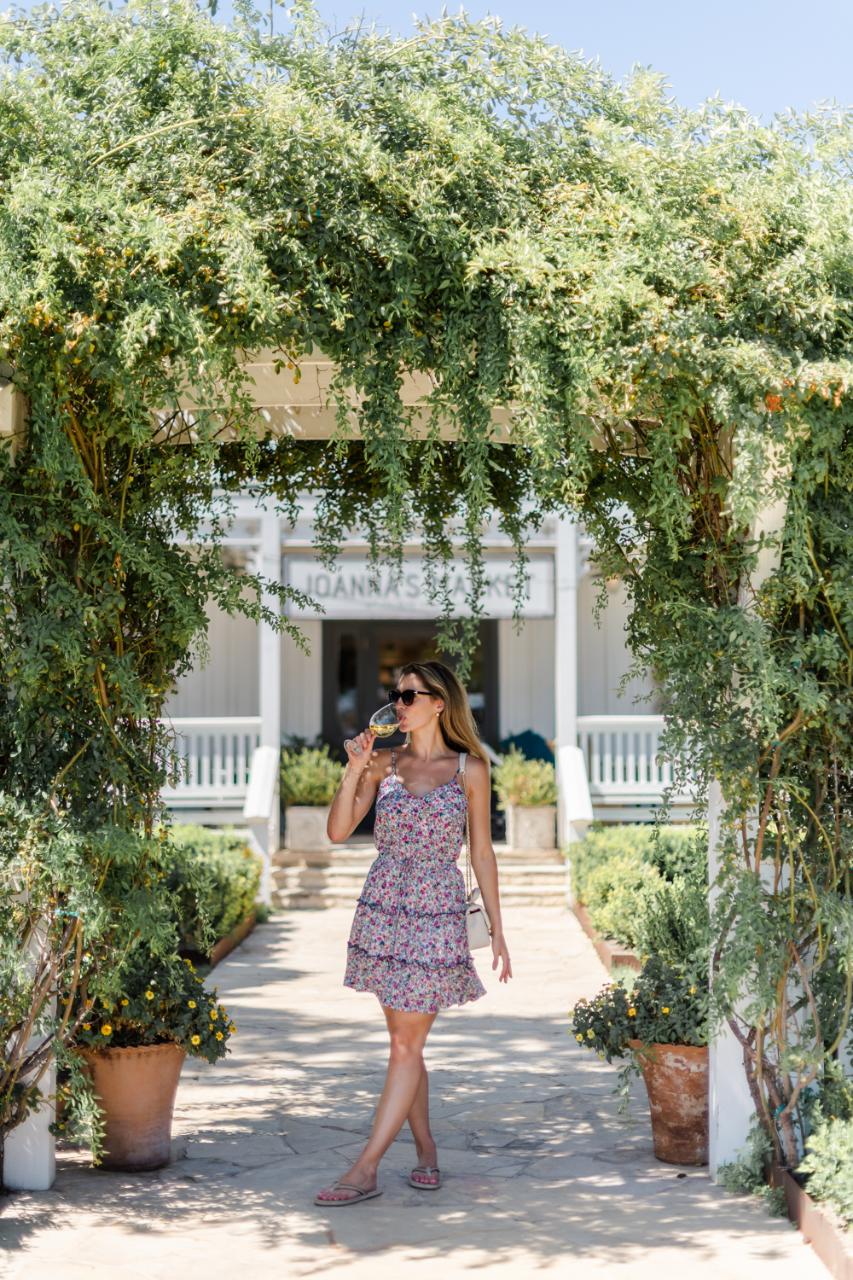 Absolute Charm Wine Tours: Classic/Signature Wine Tasting Tour — Texas Hill Country - Photo 2