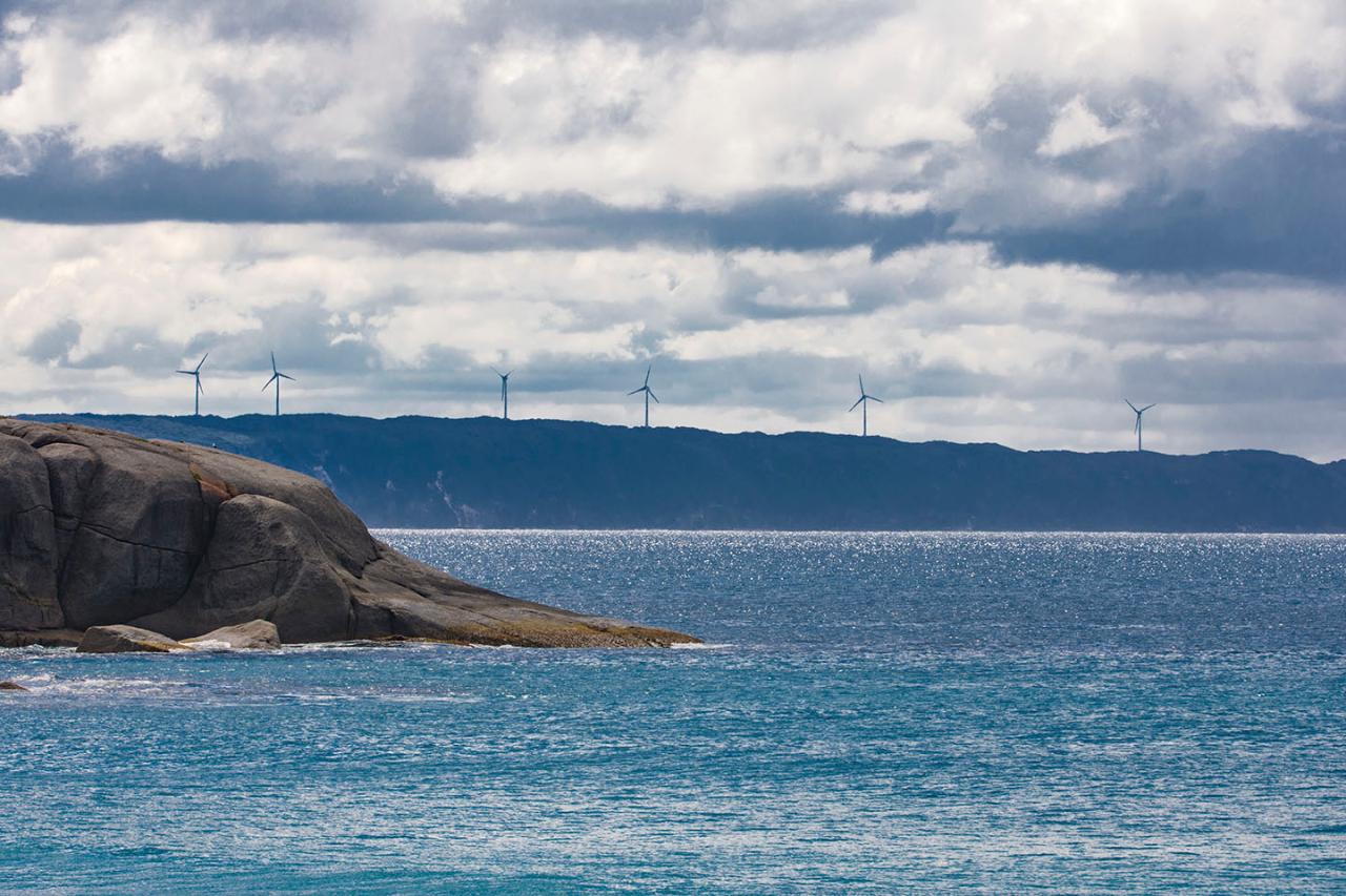 Albany 4x4 Adventure Windfarm and Muttonbird Beach