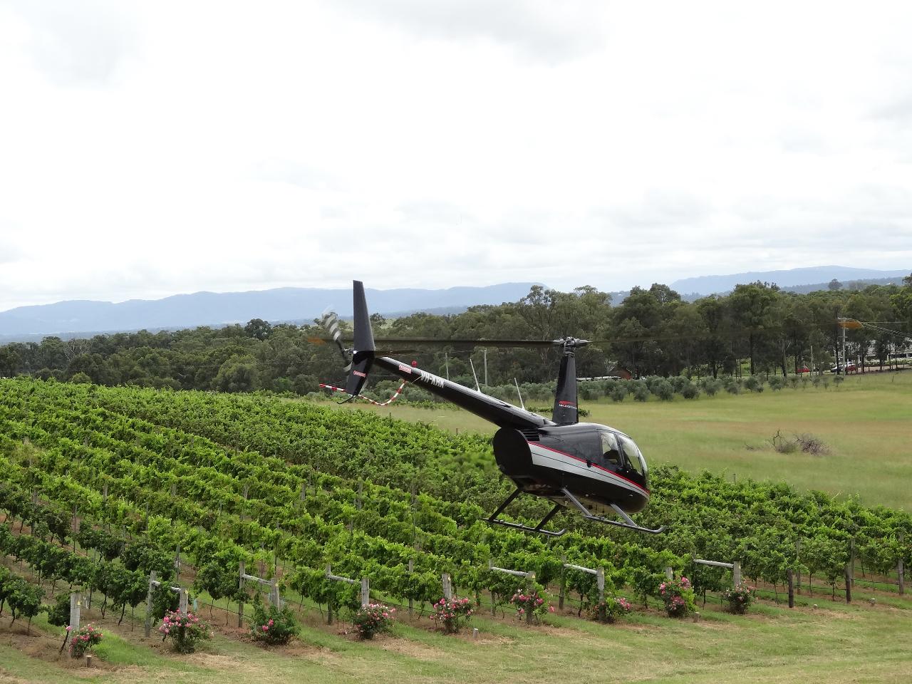 hunter valley helicopter wine tours